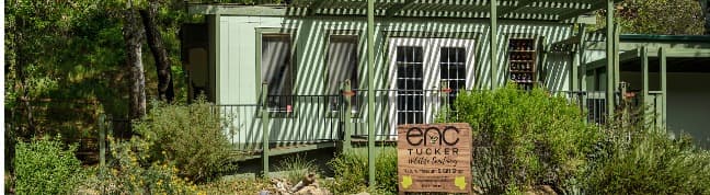 Outdoor Adventure Day